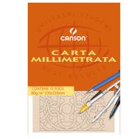 Blocco carta opaca millimetrata - 230 x 330 mm - 10 fogli - 80 gr - Canson - C200005813 - 3148950058133 - DMwebShop