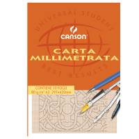Blocco carta opaca millimetrata - 297 x 420 mm - 10 fogli - 80 gr - Canson - C200005824 - 3148950058249 - DMwebShop