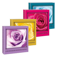 Album foto - 100 foto f.to - 13 x 19 cm - fantasie assortite - Lebez - 80460. - DMwebShop