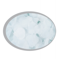 Petali sintetici - bianco - busta 144 pezzi - Big Party - 15021. - 8020834150216 - DMwebShop