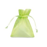 Sacchetti organza Milly - 12,5 x 17 cm - verde mela - conf. 20 pezzi - PNP - UL550DLL03VVM - 8013170304818 - DMwebShop