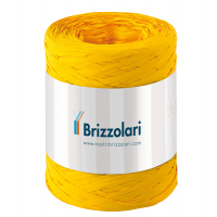 Nastro Rafia sintetica - giallo 02 - 5 mm x 200 mt - Brizzolari - 01003702 - 8031653208545 - DMwebShop