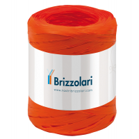 Nastro Rafia sintetica arancione 12 - 5 mm x 200 mt - Brizzolari - 01003712 - 8031653485304 - DMwebShop