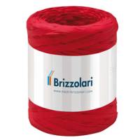 Nastro Rafia sintetica - rosso 07 - 5 mm x 200 mt - Brizzolari - 01003707 - 8031653208149 - DMwebShop