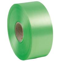Nastro liscio 6800 - in polipropilene - 50 mm x 100 mt - verde chiaro 10 - Brizzolari - 00366310 - 8031653042705 - DMwebShop