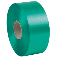Nastro liscio 6800 in polipropilene - 50 mm x 100 mt - verde bandiera 09 - Brizzolari - 00366309 - 8031653042699 - DMwebShop