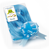 Nastri strip 6800 in polipropilene azzurro 06 per fiocco autocomponibile - 31 mm - Ø 13 cm - conf. 30 pezzi - Brizzolari - 00313206 - 8031653020291 - DMwebShop