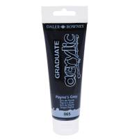 Colore acrilico fine Graduate - 120 ml - grigio payne - Daler Rowney - D123120065 - 5011386020570 - DMwebShop