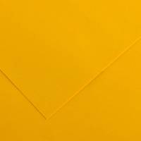 Foglio Colorline - 70 x 100 cm - 220 gr - giallo oro - conf. 25 pezzi - Canson - 200041191 - 3148954227085 - DMwebShop