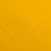 Foglio Colorline - 70 x 100 cm - 220 gr - giallo oro - conf. 25 pezzi - Canson - 200041191 - 3148954227085 - DMwebShop