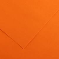Foglio Colorline - 70 x 100 cm - 220 gr - arancione - conf. 25 pezzi - Canson - 200041195 - 85571A - DMwebShop
