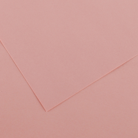 Foglio Colorline - 70 x 100 cm - 220 gr - rosa confetto - conf. 25 pezzi - Canson - 200041196 - 3148954227139 - DMwebShop