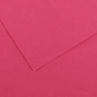 Foglio Colorline - 70 x 100 cm - 220 gr - fucsia - conf. 25 pezzi - Canson - 200041197 - 85573A - DMwebShop