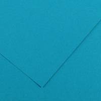 Foglio Colorline - 70 x 100 cm - 220 gr - blu primario - conf. 25 pezzi - Canson - 200041207 - 85580A - DMwebShop