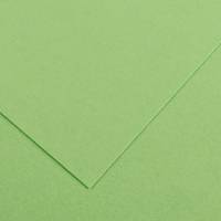 Foglio Colorline - 70 x 100 cm - 220 gr - verde mela - conf. 25 pezzi - Canson - 200041213 - 85585A - DMwebShop