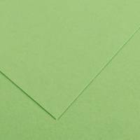 Foglio Colorline - 70 x 100 cm - 220 gr - verde mela - conf. 25 pezzi - Canson - 200041213 - 85585A - DMwebShop