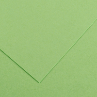 Foglio Colorline - 70 x 100 cm - 220 gr - verde mela - conf. 25 pezzi - Canson - 200041213 - 85585A - DMwebShop