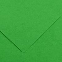 Foglio Colorline - 70 x 100 cm - 220 gr - verde brillante - conf. 25 pezzi - Canson - 200041215 - 3148954227320 - DMwebShop