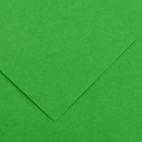 Foglio Colorline - 70 x 100 cm - 220 gr - verde brillante - Canson 200041215