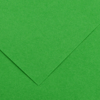 Foglio Colorline - 70 x 100 cm - 220 gr - verde brillante - conf. 25 pezzi - Canson - 200041215 - 3148954227320 - DMwebShop