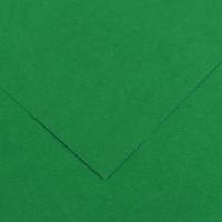Foglio Colorline - 70 x 100 cm - 220 gr - verde vivo - conf. 25 pezzi - Canson - 200041216 - 85587A - DMwebShop