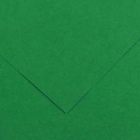 Foglio Colorline - 70 x 100 cm - 220 gr - verde vivo - conf. 25 pezzi - Canson - 200041216 - 85587A - DMwebShop