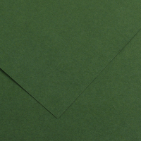 Foglio Colorline - 70 x 100 cm - 220 gr - verde abete - conf. 25 pezzi - Canson - 200041217 - 3148954227344 - DMwebShop