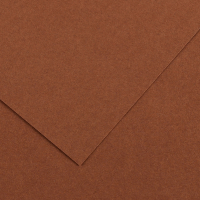 Foglio Colorline - 70 x 100 cm - 220 gr - cioccolato - conf. 25 pezzi - Canson - 200041220 - 3148954227375 - DMwebShop