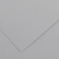 Foglio Colorline - 70 x 100 cm - 220 gr - grigio chiaro - conf. 25 pezzi - Canson - 200041221 - 85592A - DMwebShop