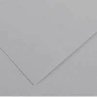 Foglio Colorline - 70 x 100 cm - 220 gr - grigio chiaro - conf. 25 pezzi - Canson - 200041221 - 85592A - DMwebShop