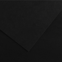 Foglio Colorline - 70 x 100 cm - 220 gr - nero - conf. 25 pezzi - Canson - 200041224 - 85594A - DMwebShop