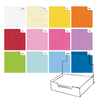 Carta regalo - kraft - Light - 70 x 100 cm - scatola 100 fogli - Rex Sadoch - 74400LIT - 8006715197860 - DMwebShop