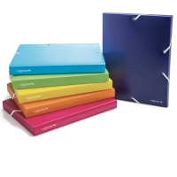 Cartella con elastico - PPL - colori assortiti - dorso 50 mm - conf. 6 pezzi - Colorosa - 362350 - 8004428045348 - DMwebShop
