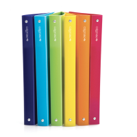 Raccoglitore 4R - 245x307 mm - Ø 15 mm - colori assortiti - conf. 24 pezzi - Colorosa - 362815.S1 - 8004428043498 - DMwebShop
