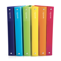 Raccoglitore 4R Colorosa - 245 x 307 mm - Ø 30 mm - colori assortiti - conf. 24 pezzi - Ri.plast - 362805 - 8004428043481 - DMwebShop