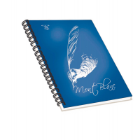 Blocco notes - spiralato sul lato lungo - 1 rigo - 22,3 x 28 cm - 80 gr - 70 fogli - Pigna - 02306881R - 8005235184008 - DMwebShop