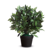 Pianta ornamentale - lauro - H50 cm - Paperflow - Alco K700134