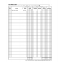 Registro beni ammortizzabili - 45 pagine numerate - 31 x 24,5 cm - Data Ufficio - DU136800000 - 8008842531784 - DMwebShop