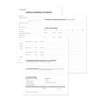 Registro cartella sanitaria di rischio - 34 pagine - 31 x 24,5 cm - Data Ufficio - DU131910000 - 8008842586883 - DMwebShop