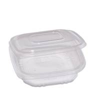 Contenitori in PP - con coperchio incernierato - 15,5 x 15,5 x 3,7 cm - conf. 50 pezzi - Europack - 48411052 - 8007626780066 - DMwebShop