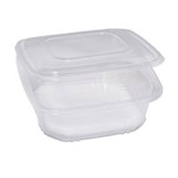 Contenitori in PP - con coperchio incernierato - 21,5 x 21,5 x 6,9 cm - conf. 50 pezzi - Europack - 48431062 - 8007626780141 - DMwebShop