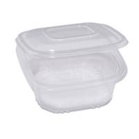 Contenitori in PP - con coperchio incernierato - 15,5 x 15,5 x 5,7 cm - conf. 50 pezzi - Europack - 48411072 - 8007626780073 - DMwebShop