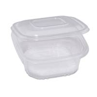 Contenitori in PP - con coperchio incernierato - 15,5 x 15,5 x 5,7 cm - conf. 50 pezzi - Europack - 48411072 - 8007626780073 - DMwebShop