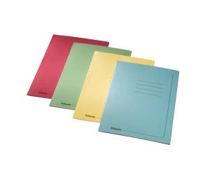 Cartelline 3 lembi con stampa - 295 gr - 25 x 35 cm - azzurro - conf. 25 pezzi - Esselte - 55135 - 5411313551359 - DMwebShop