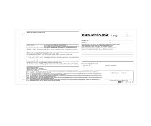 Scheda di notifica fogli snap - 25 fogli - 2 copie autoricalcanti - 10 x 22 cm - conf. 250 pezzi - Edipro - E5876N - 8023328587611 - DMwebShop