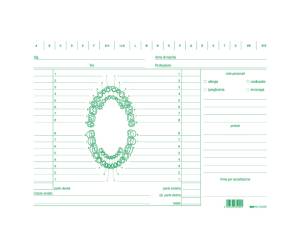 Schede in cartoncino per dentisti - 17 x 24 cm - verde - conf. 100 pezzi - Edipro - E3529 - 8023328352912 - DMwebShop