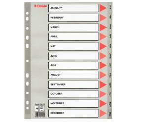 Separatore mensile Gen-Dic - PPL - A4 - grigio - Esselte - 100114 - 5902812001143 - DMwebShop