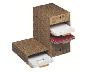 Scatola archivio A4 File 26 x 8 x 35 cm avana Esselte - 4107