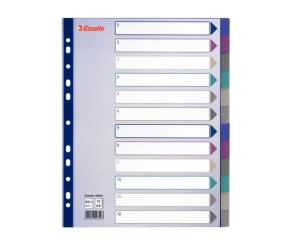 Separatore - 12 tasti - PP traslucido - A4 maxi - 24,5 x 29,7 cm - multicolore - Esselte - 20649 - 5024942206493 - DMwebShop