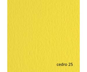 Cartoncino Elle Erre - 70 x 100 cm - 220 gr - cedro 125 - blister 10 fogli - Fabriano - 46470125 - 8001348121923 - DMwebShop